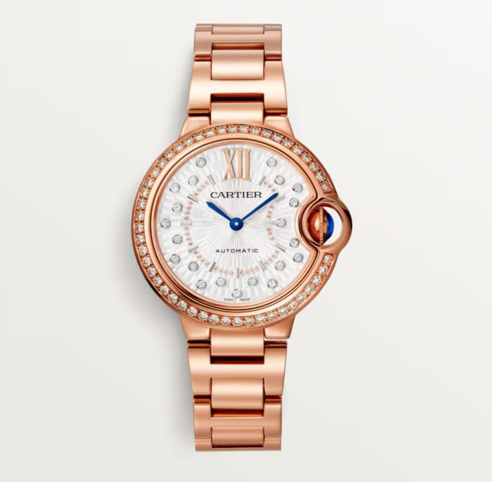 Luxury Brand Watches (3)