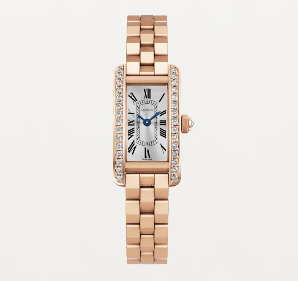Luxury Brand Watches (3)