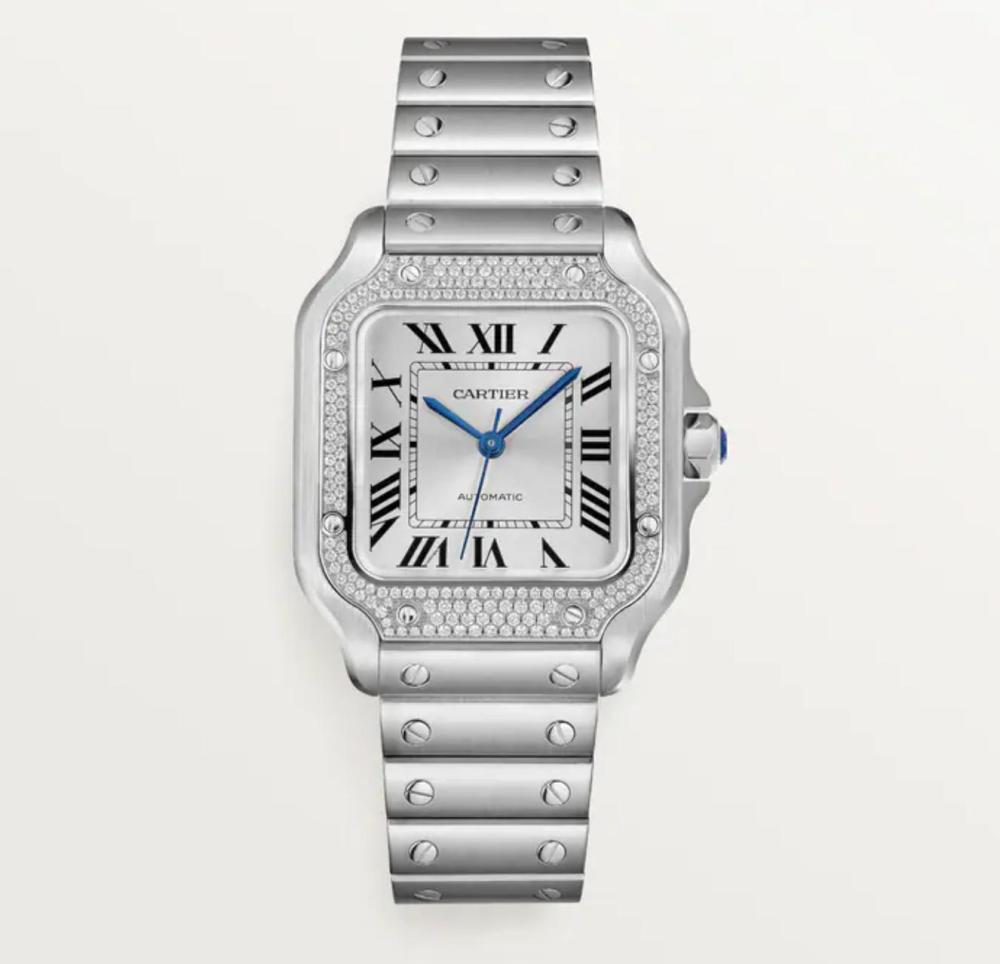 Luxury Brand Watches (3)