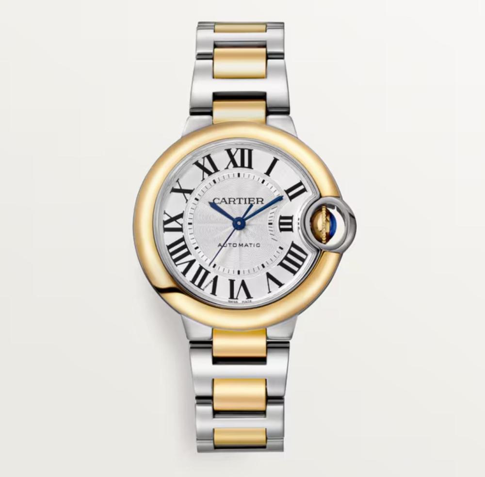 Luxury Brand Watches (3)