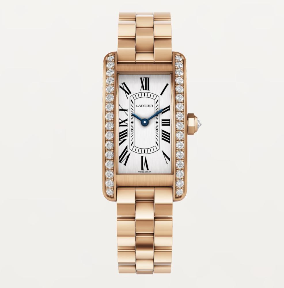Luxury Brand Watches (3)