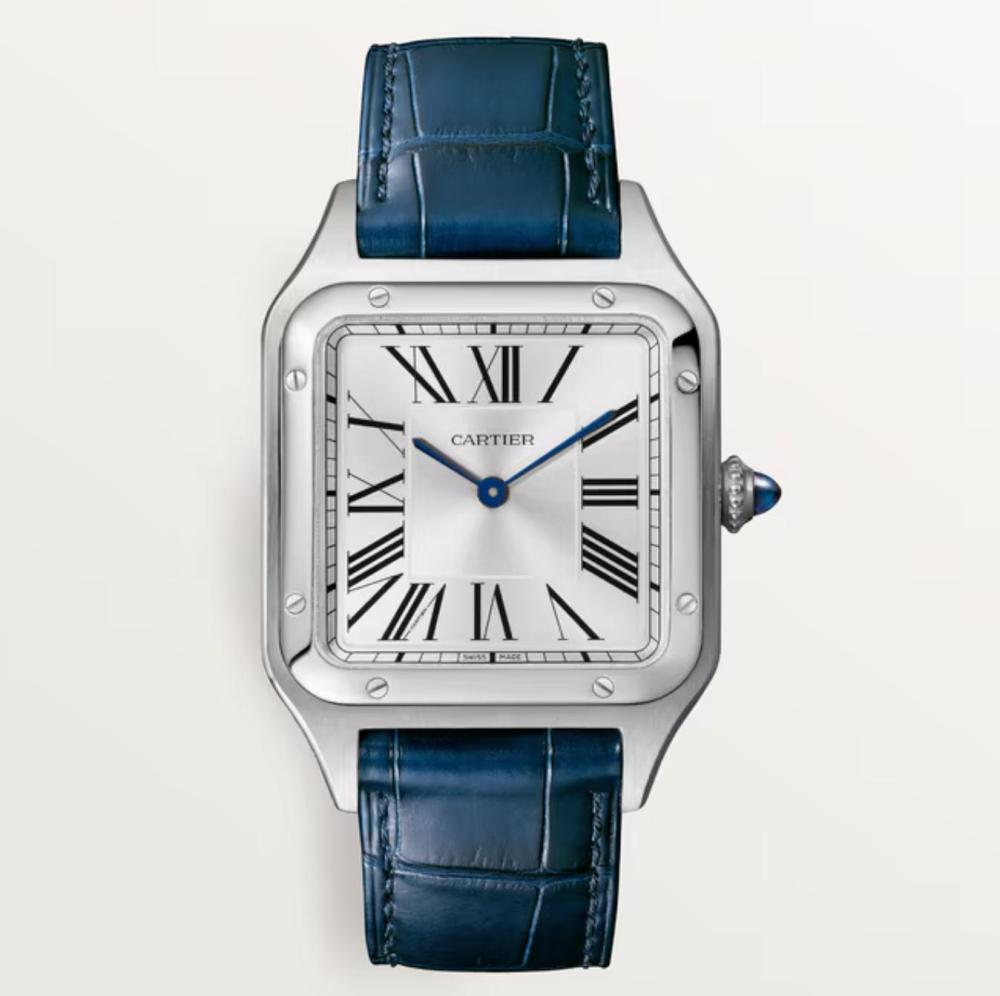 Luxury Brand Watches (3)