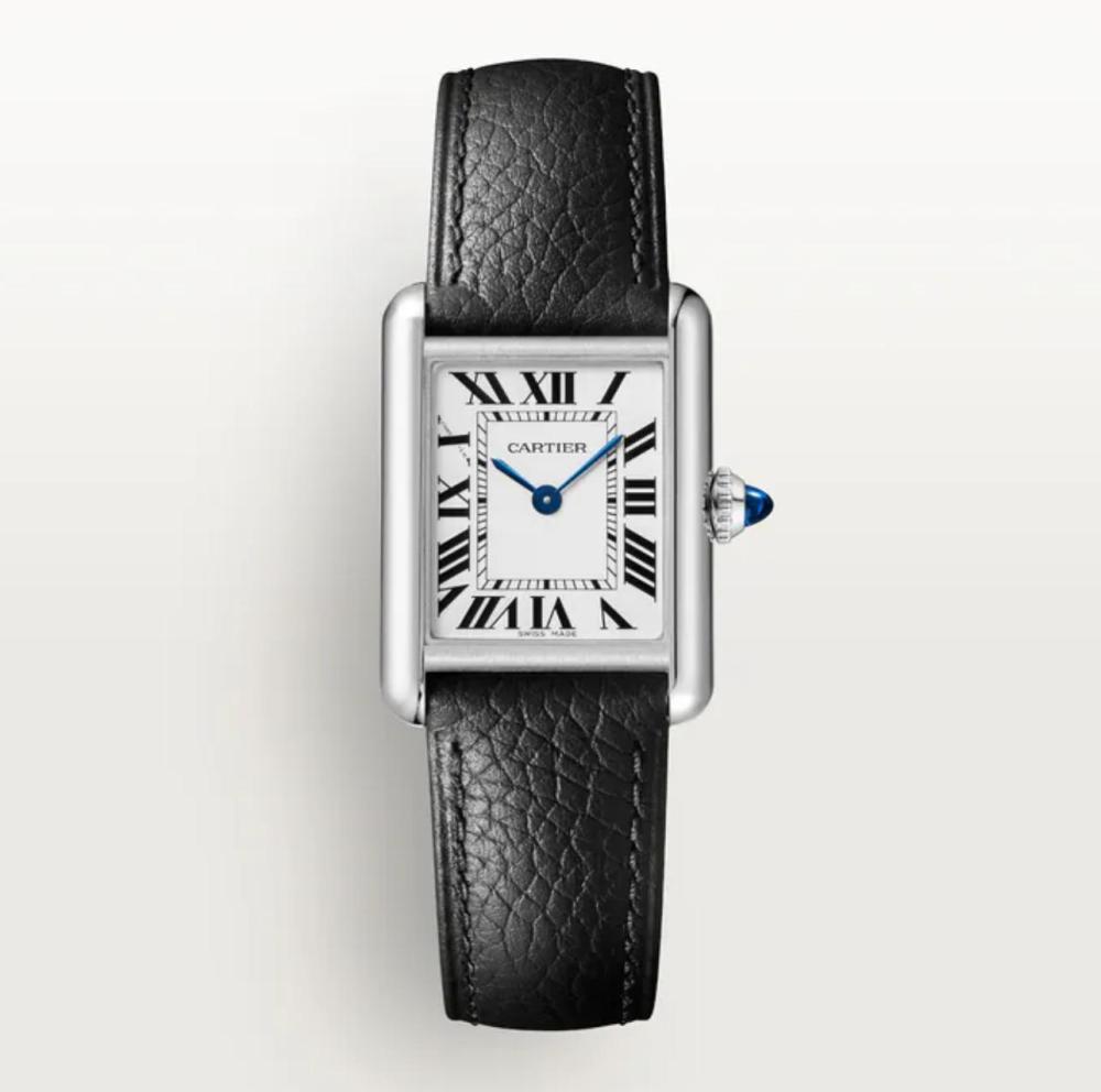 Luxury Brand Watches (3)