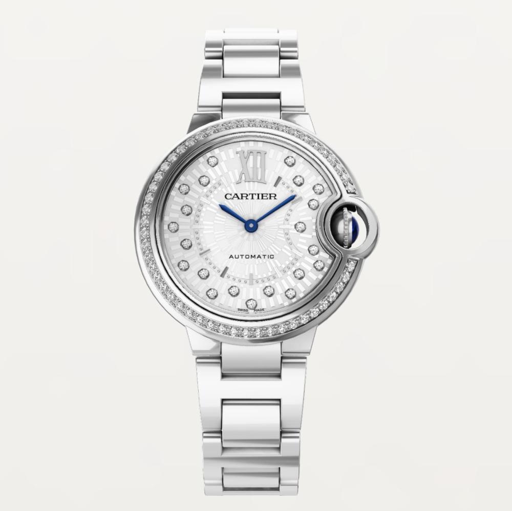 Luxury Brand Watches (3)