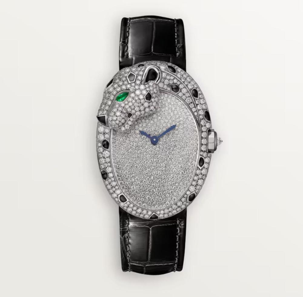 Luxury Brand Watches (3)