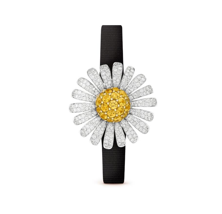 Luxury Brand Watches (2)