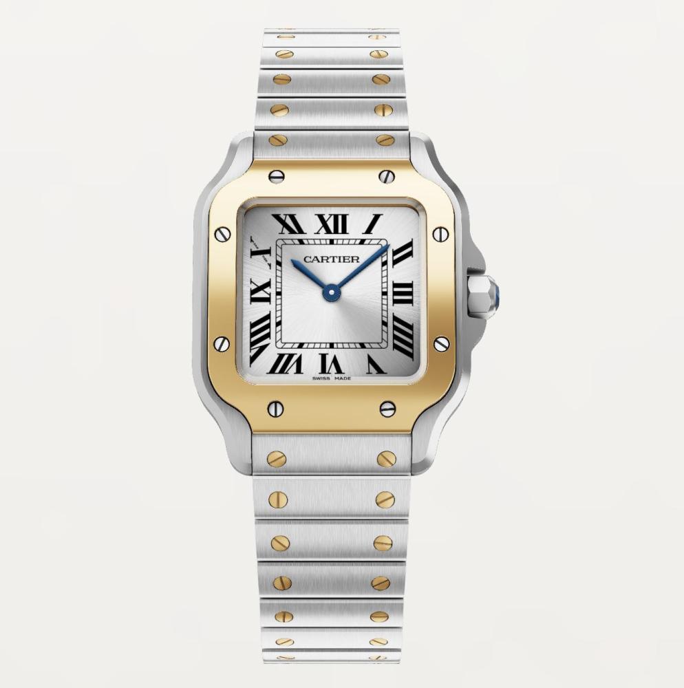 Luxury Brand Watches (3)