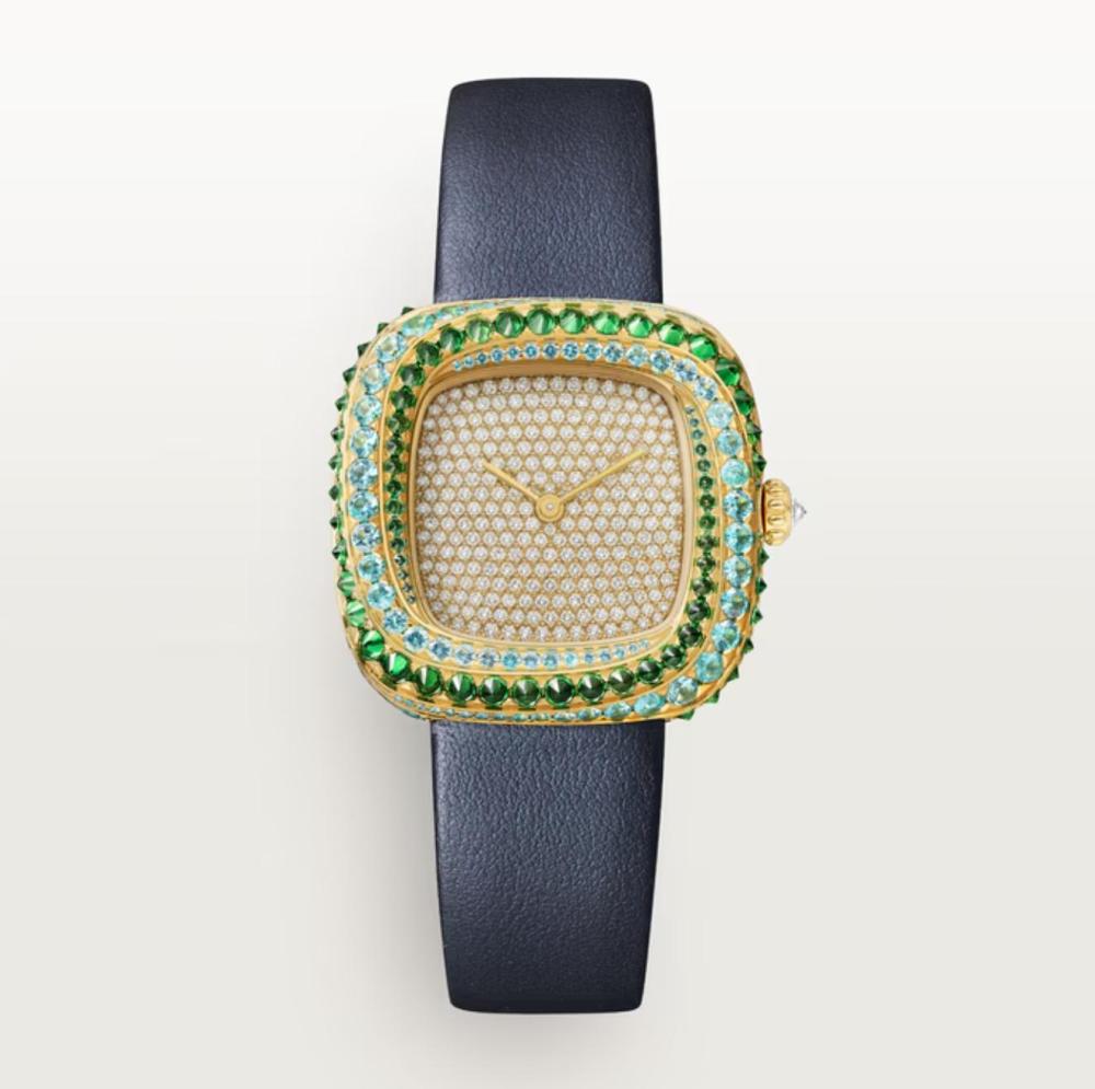 Luxury Brand Watches (3)