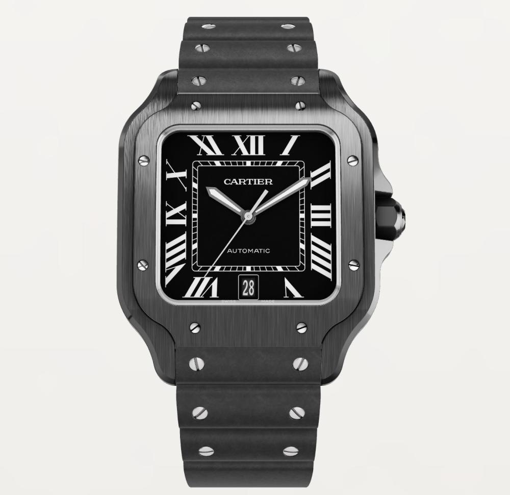 Luxury Brand Watches (3)
