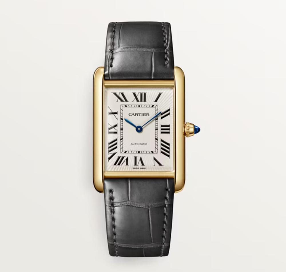 Luxury Brand Watches (3)