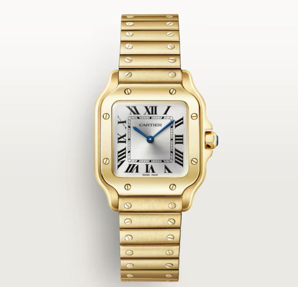 Luxury Brand Watches (3)