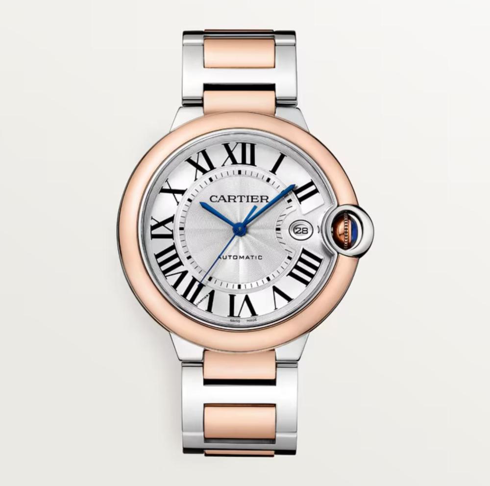 Luxury Brand Watches (3)