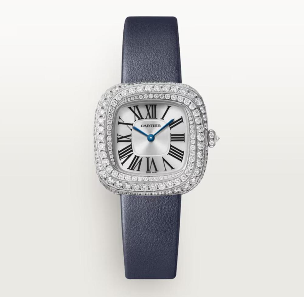 Luxury Brand Watches (3)