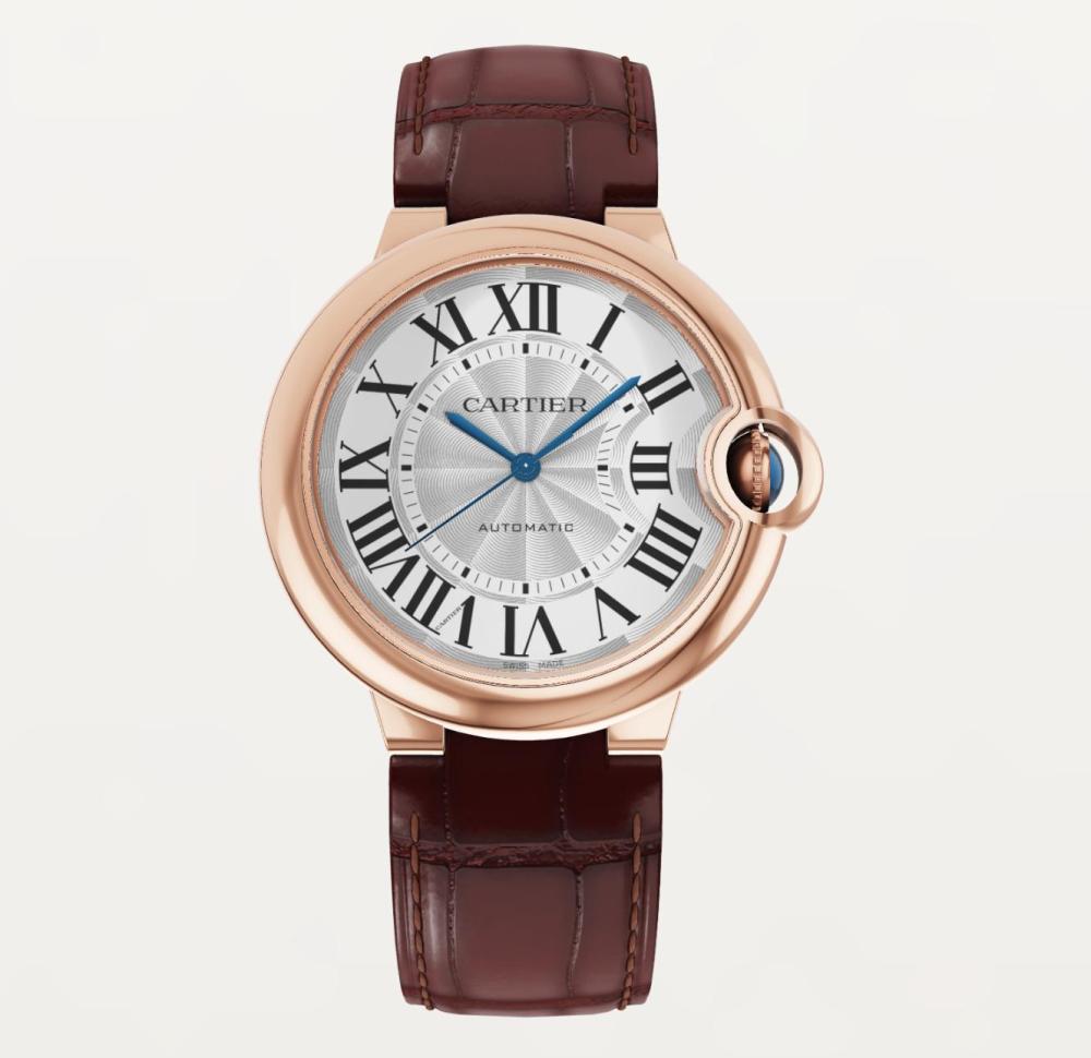 Luxury Brand Watches (3)