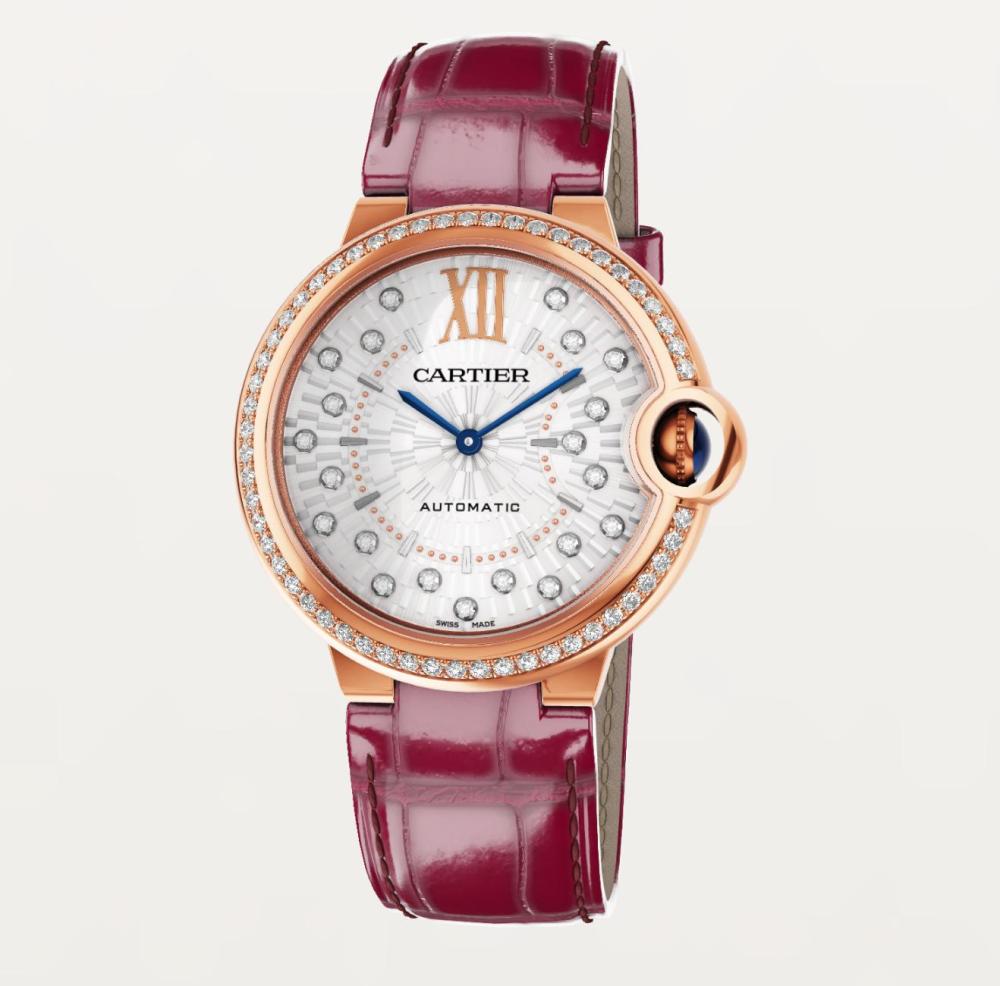 Luxury Brand Watches (3)