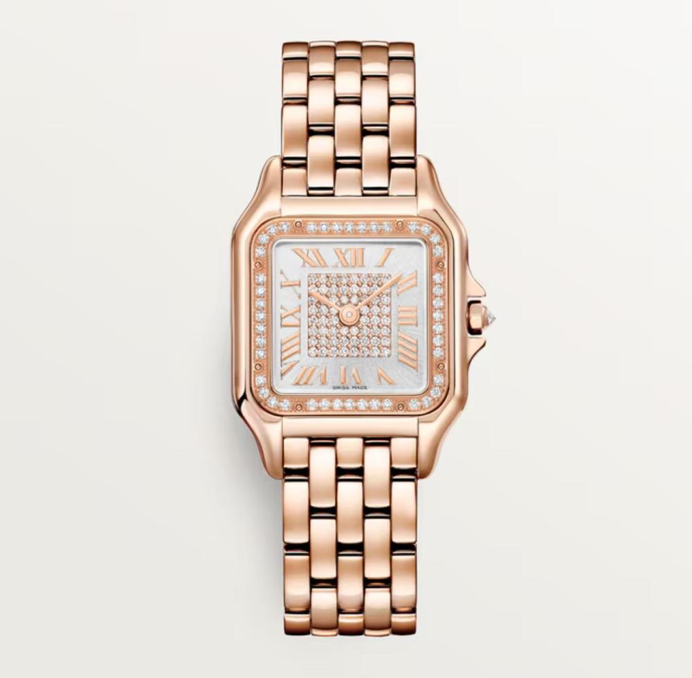 Luxury Brand Watches (3)