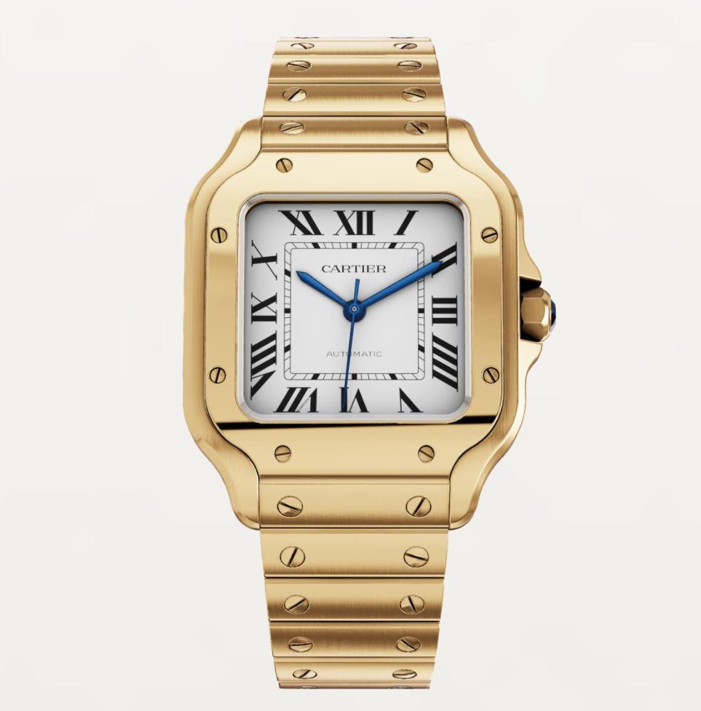 Luxury Brand Watches (3)
