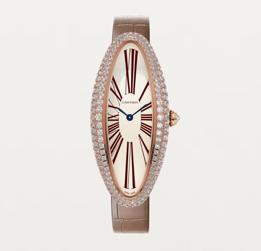 Luxury Brand Watches (3)