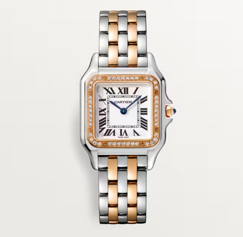Luxury Brand Watches (3)