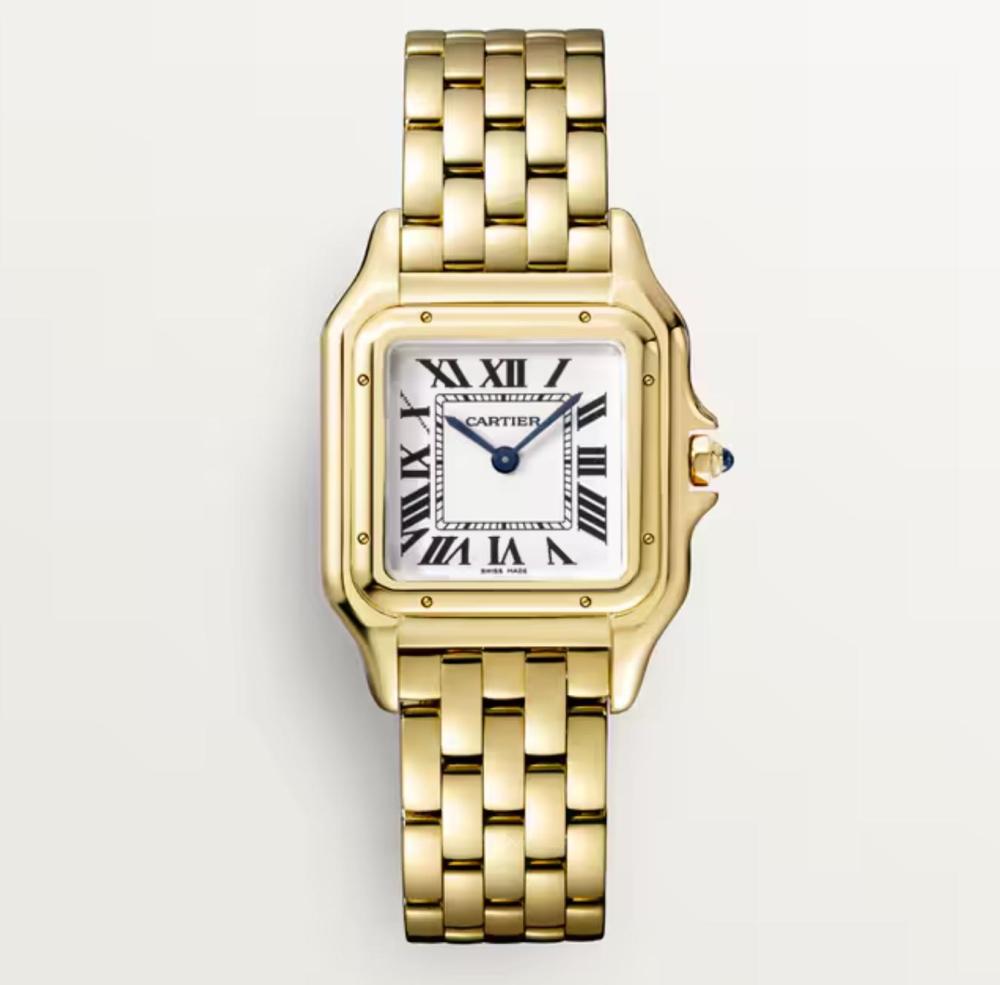 Luxury Brand Watches (3)
