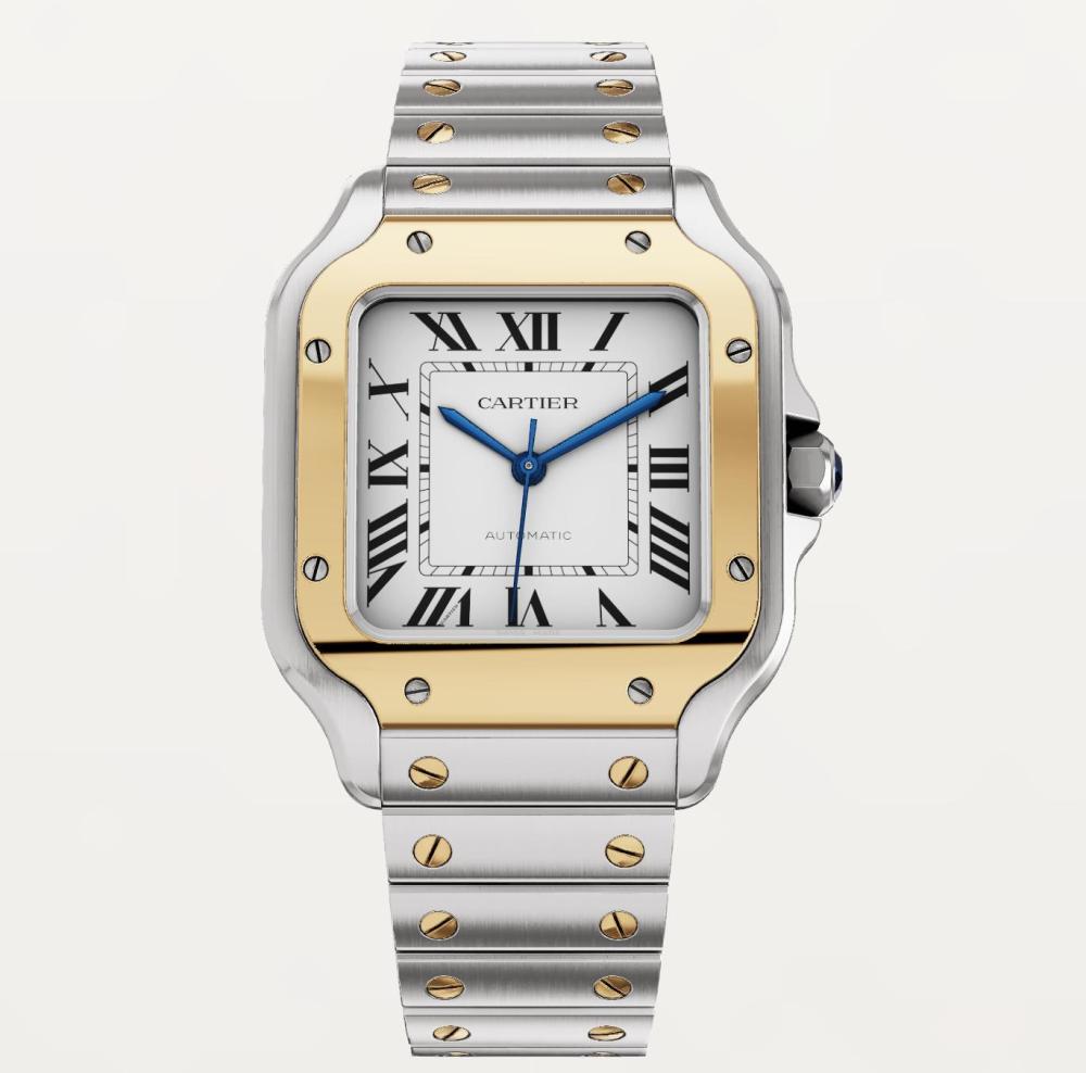 Luxury Brand Watches (3)
