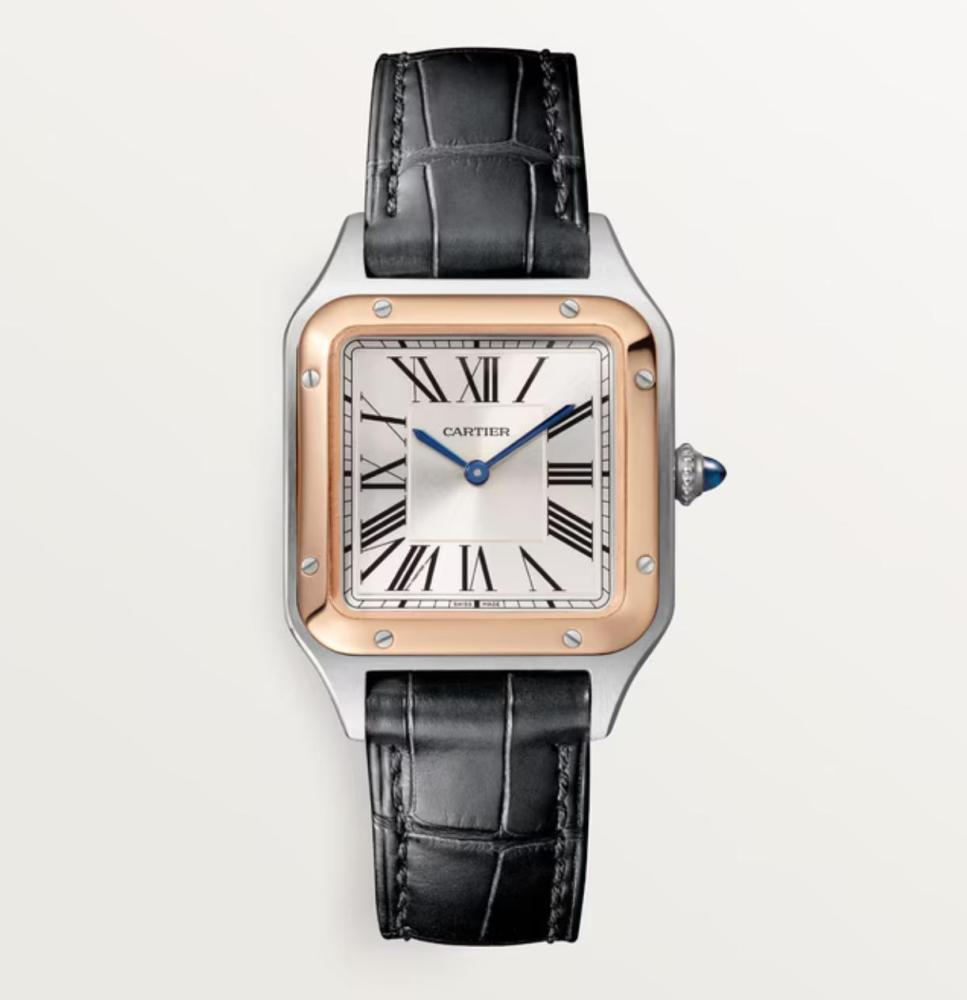 Luxury Brand Watches (3)
