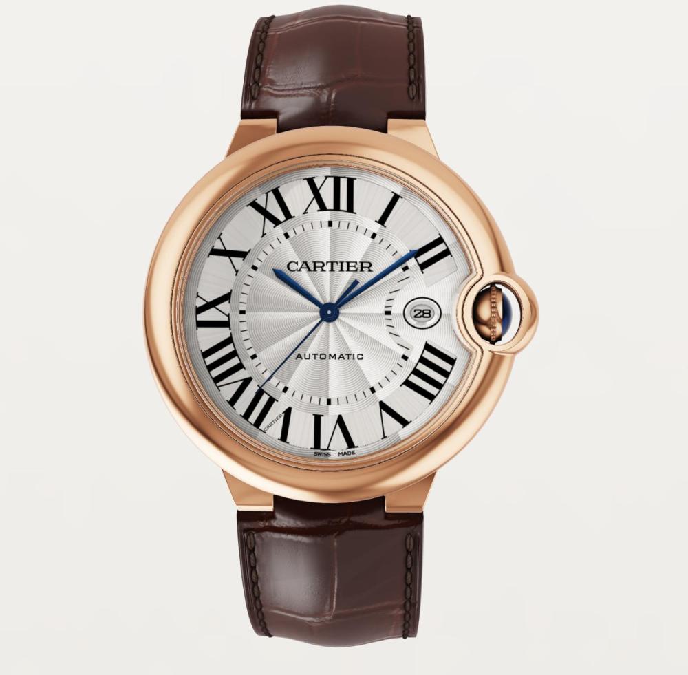 Luxury Brand Watches (3)