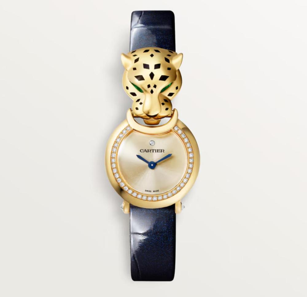 Luxury Brand Watches (3)