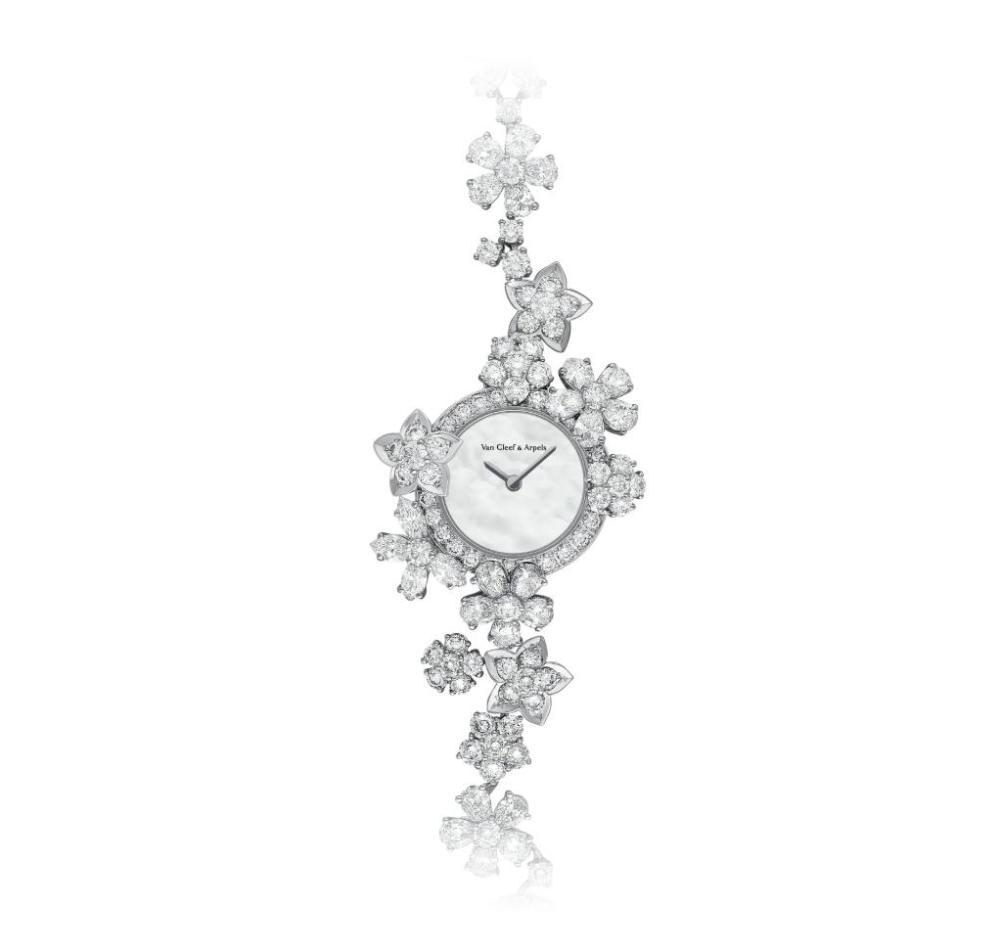 Luxury Brand Watches (2)