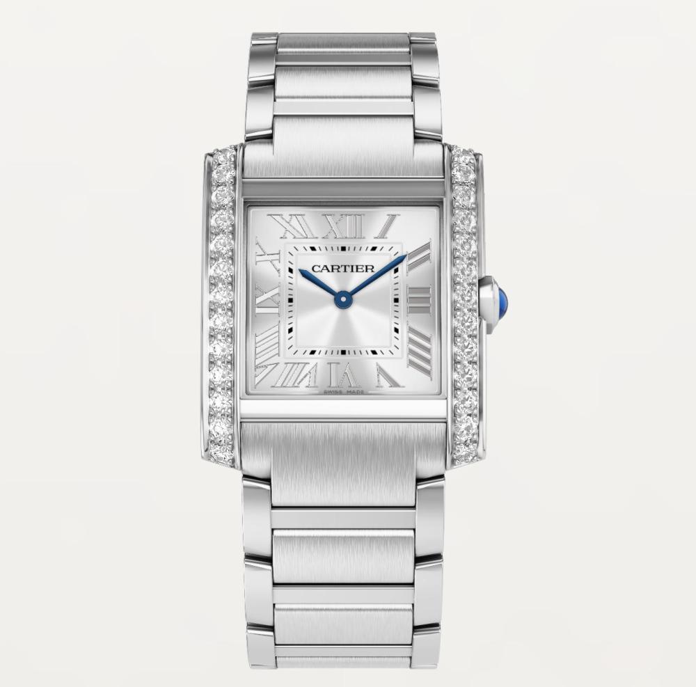 Luxury Brand Watches (3)
