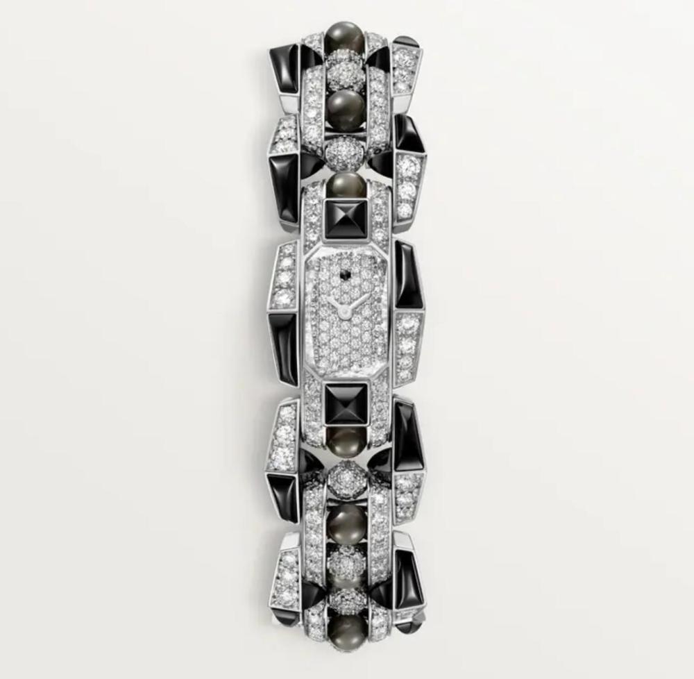 Luxury Brand Watches (3)