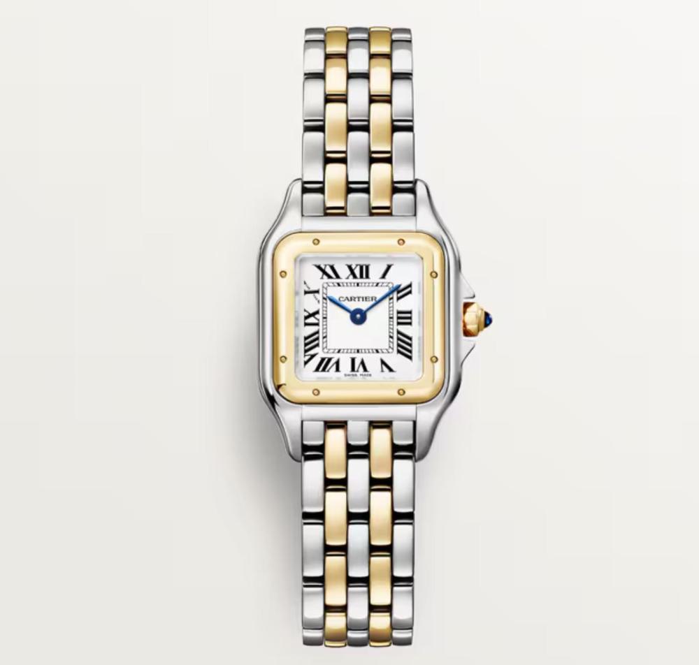 Luxury Brand Watches (3)