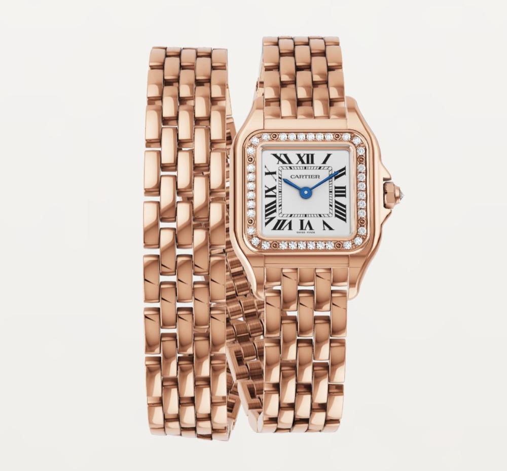 Luxury Brand Watches (3)