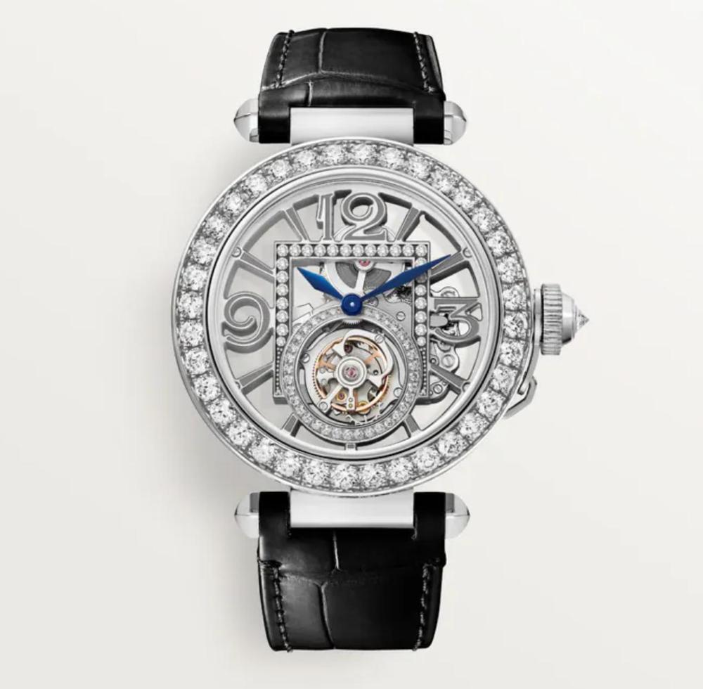 Luxury Brand Watches (3)