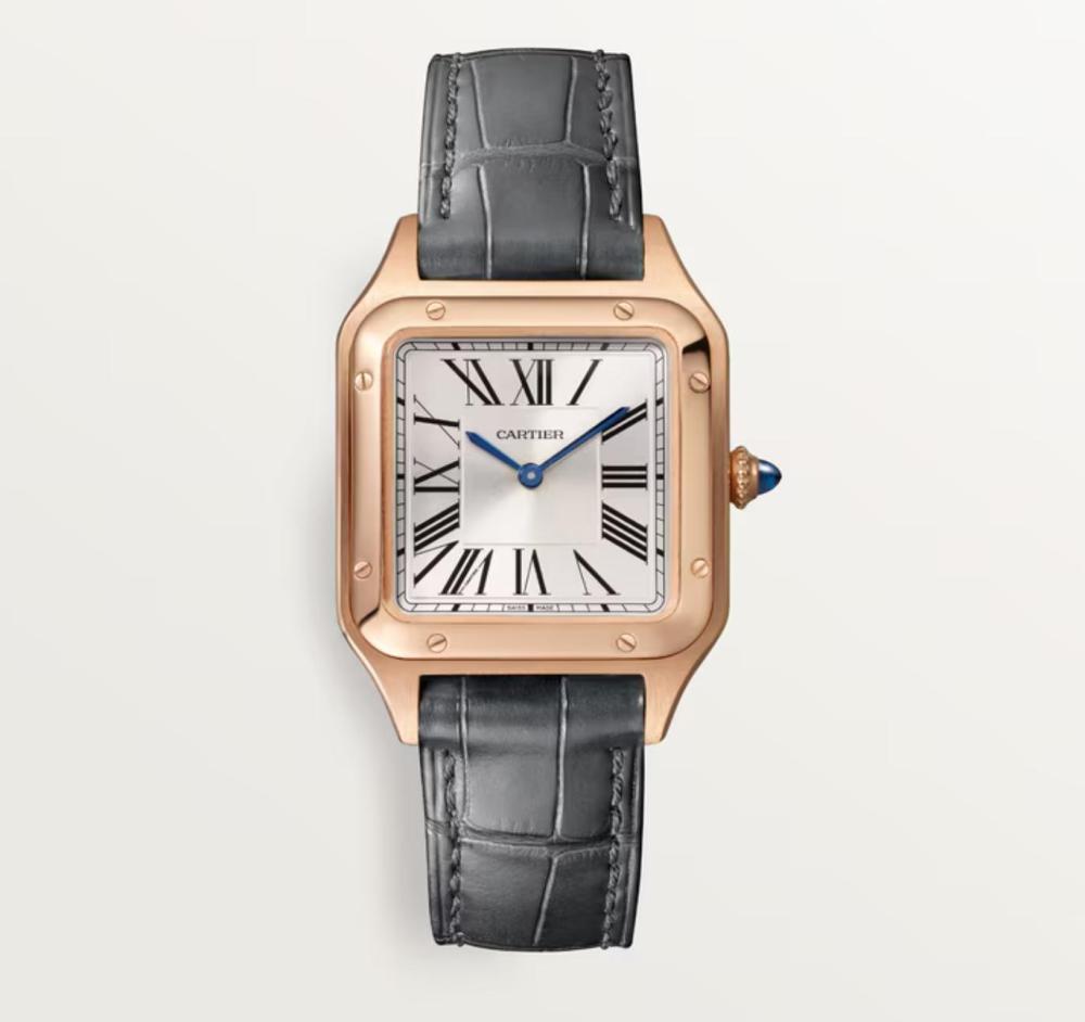Luxury Brand Watches (3)