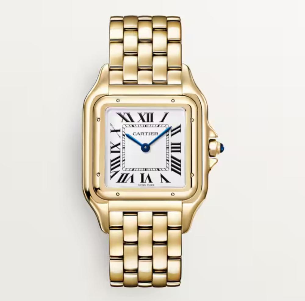 Luxury Brand Watches (3)