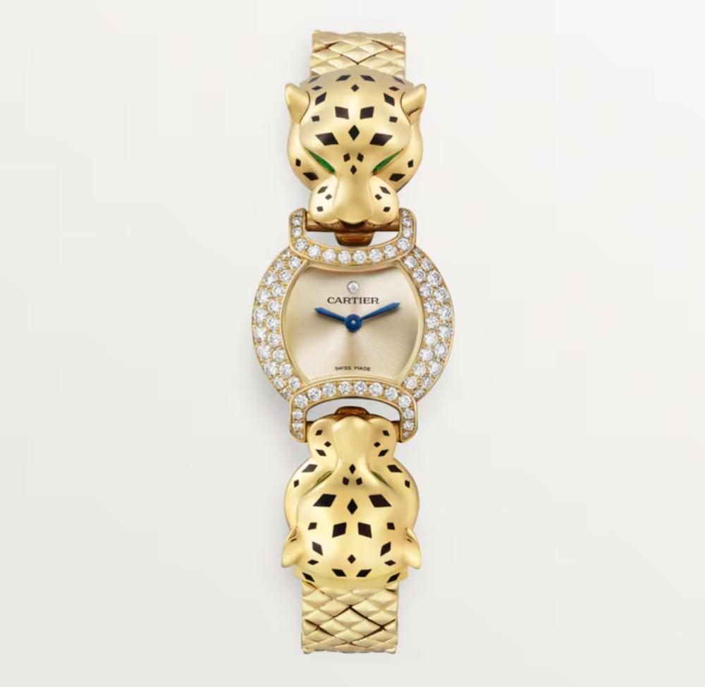 Luxury Brand Watches (3)