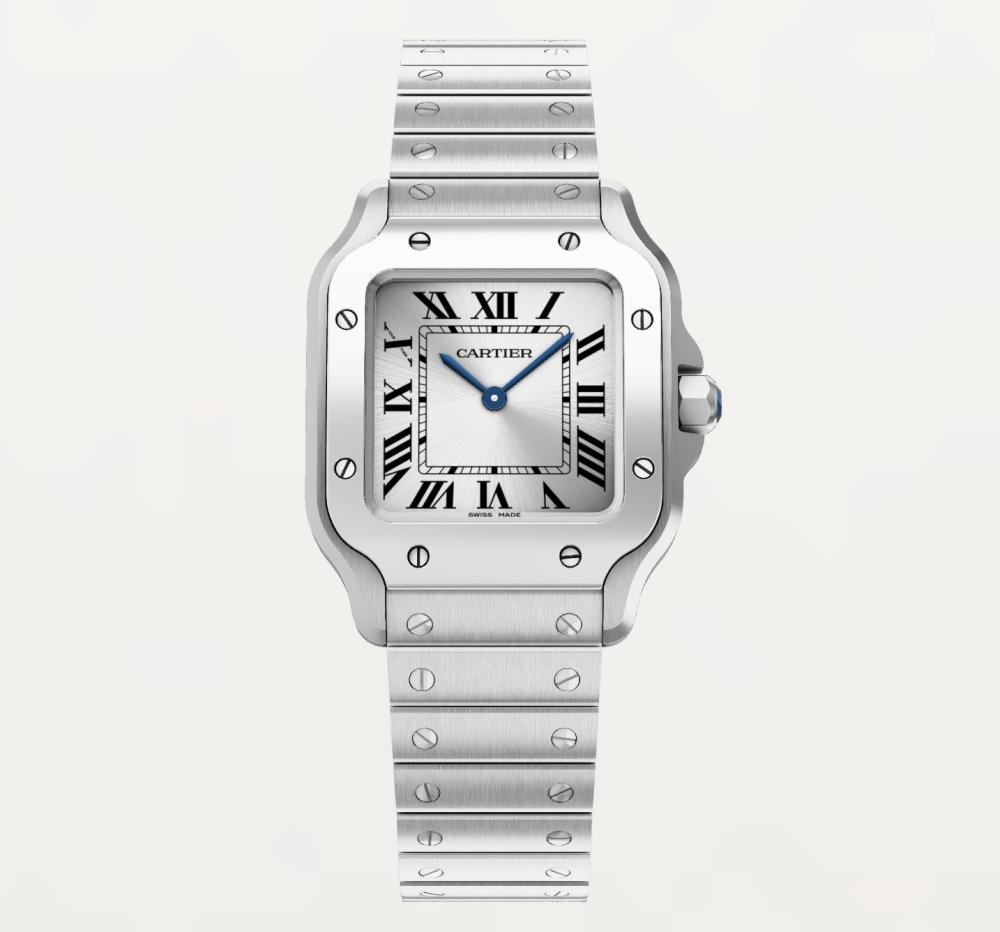 Luxury Brand Watches (3)