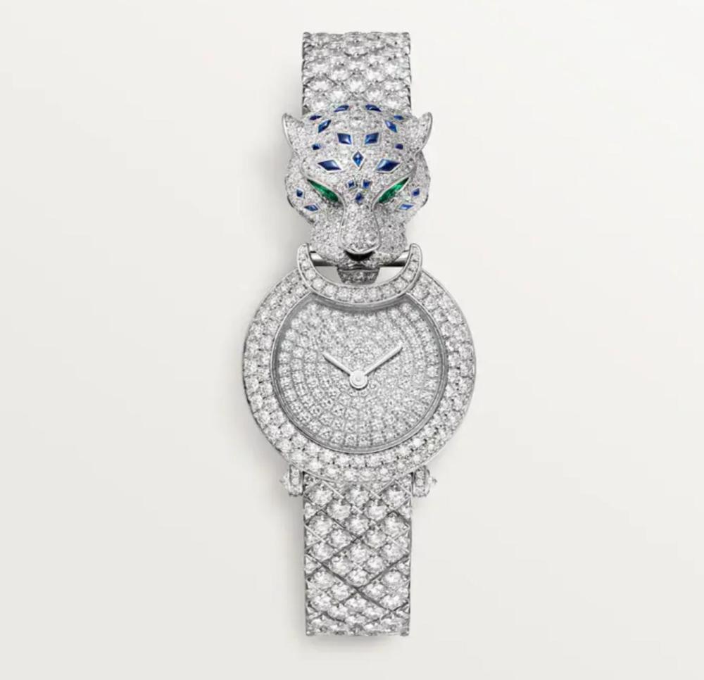 Luxury Brand Watches (3)