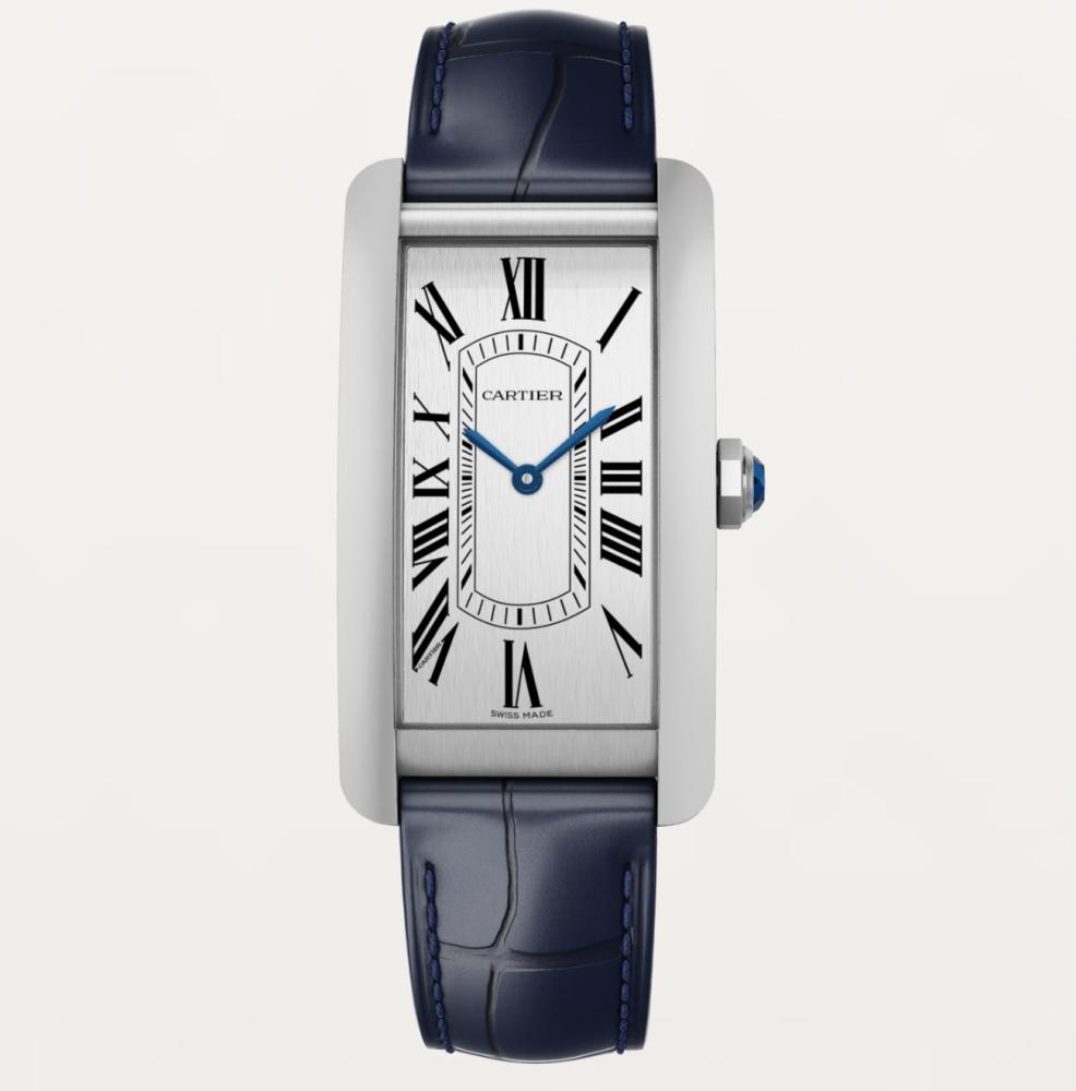 Luxury Brand Watches (3)
