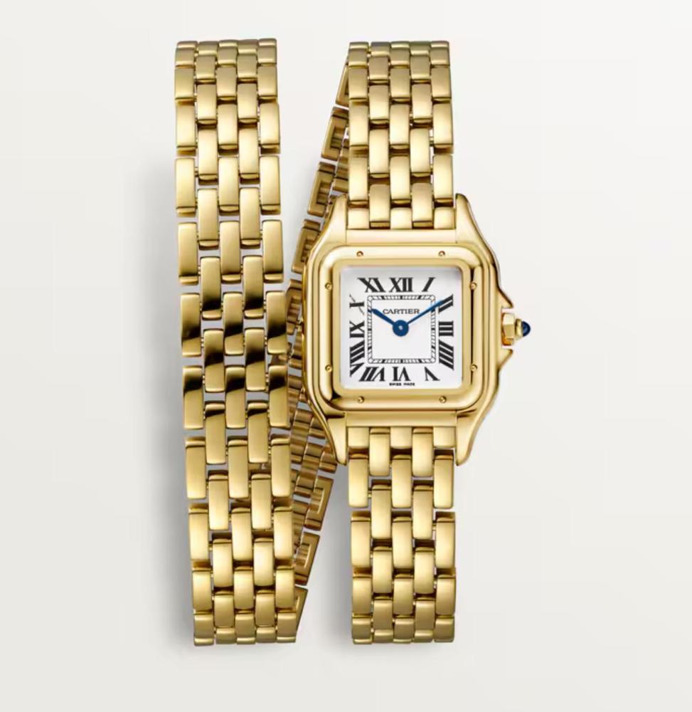 Luxury Brand Watches (3)