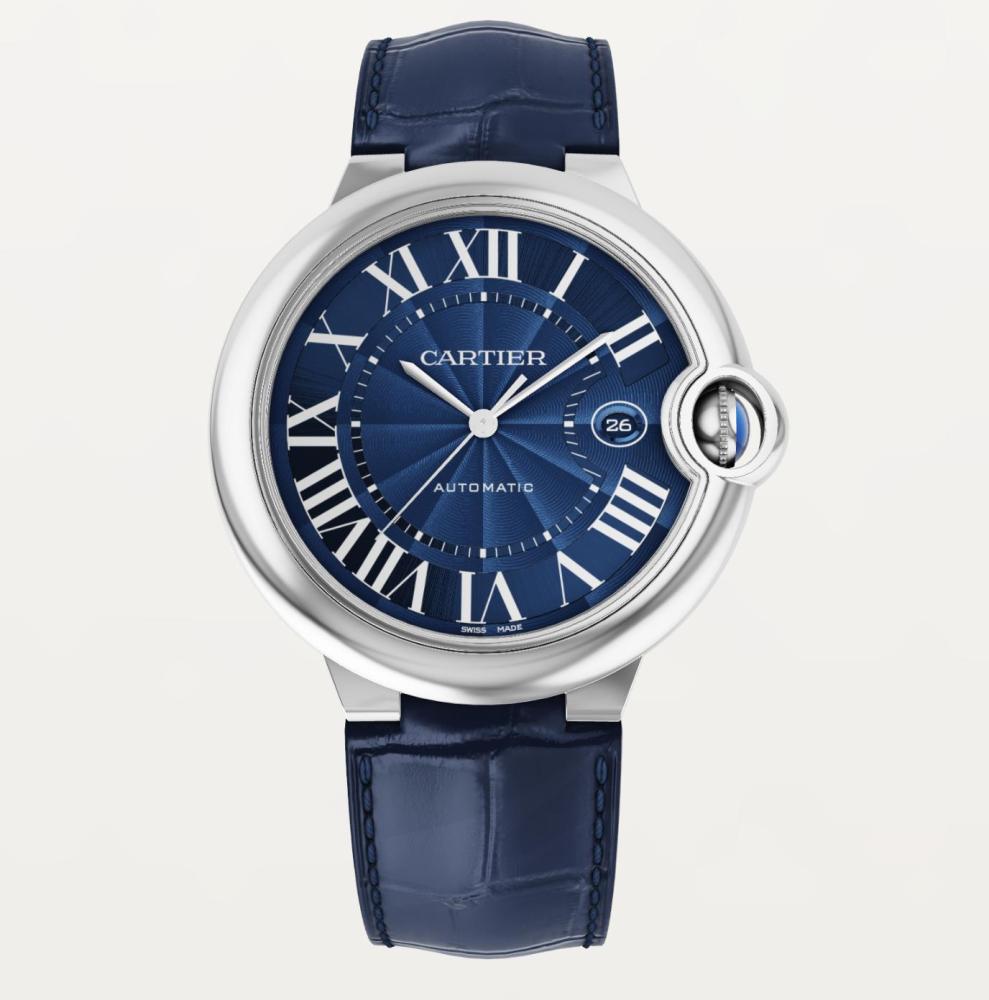 Luxury Brand Watches (3)