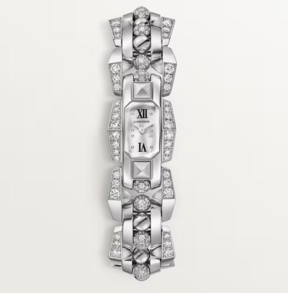 Luxury Brand Watches (3)