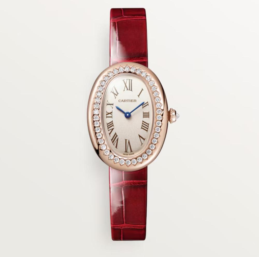 Luxury Brand Watches (3)