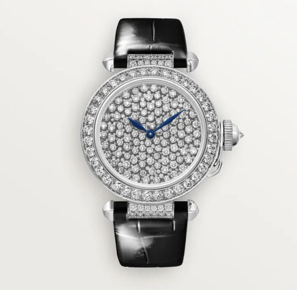 Luxury Brand Watches (3)