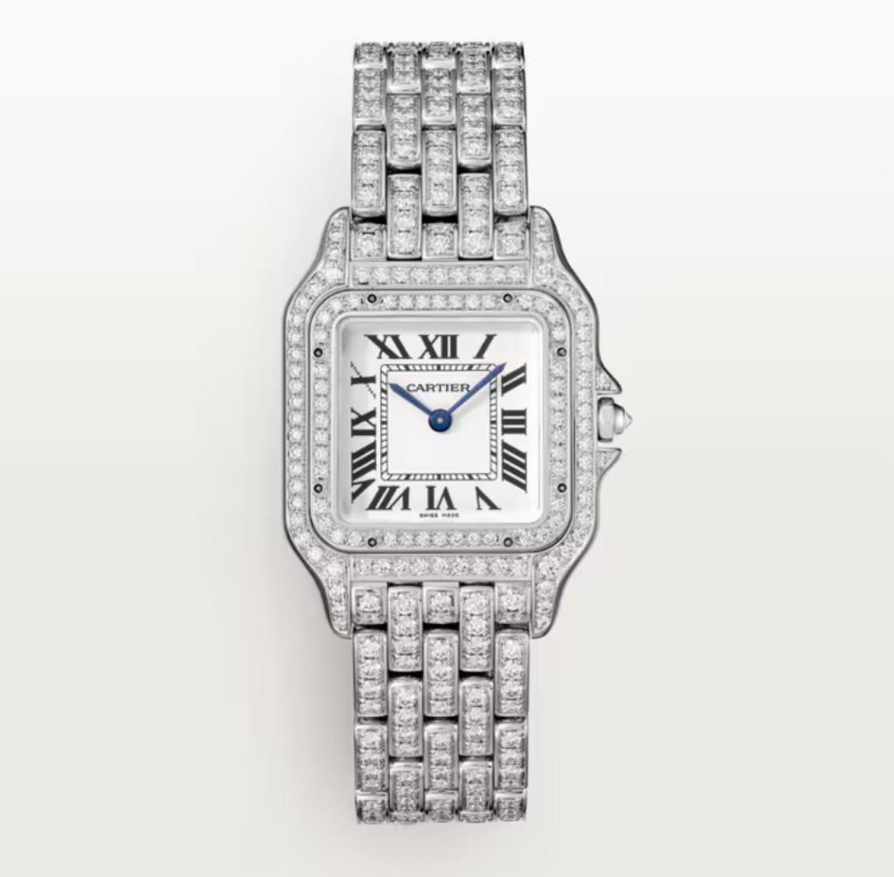 Luxury Brand Watches (3)