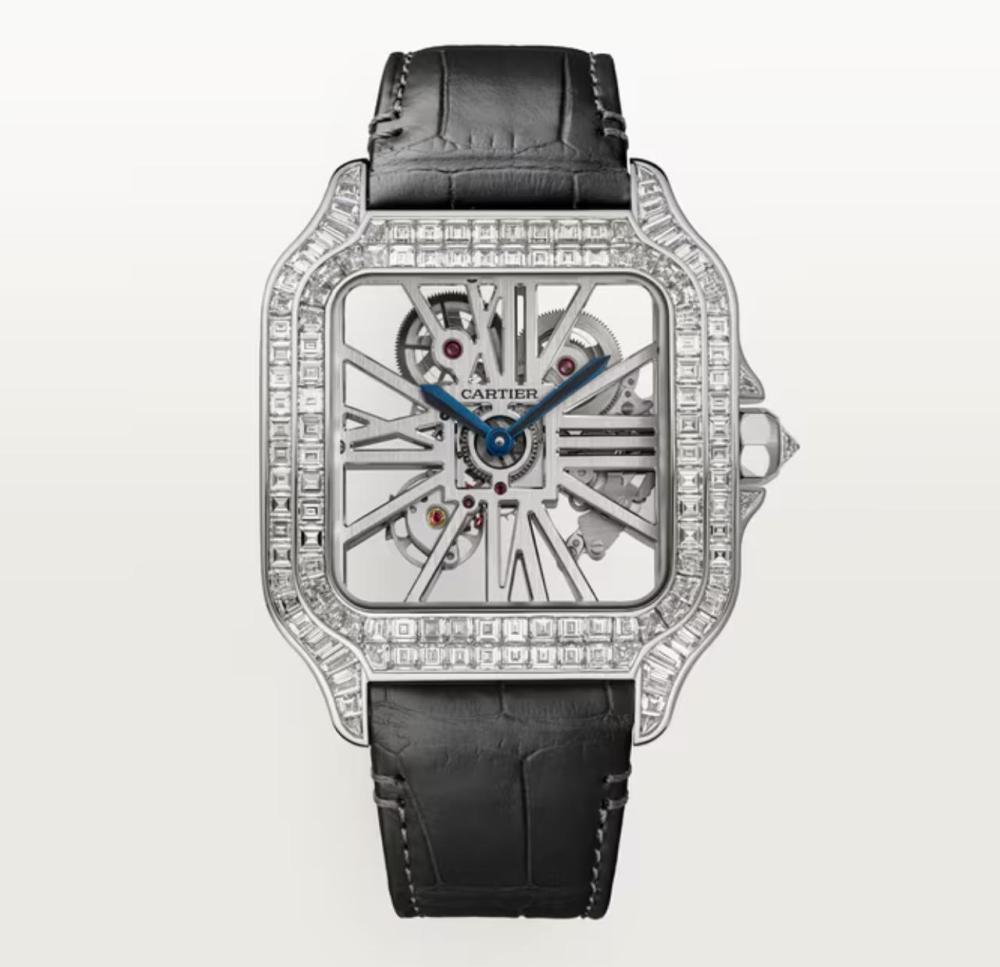 Luxury Brand Watches (3)