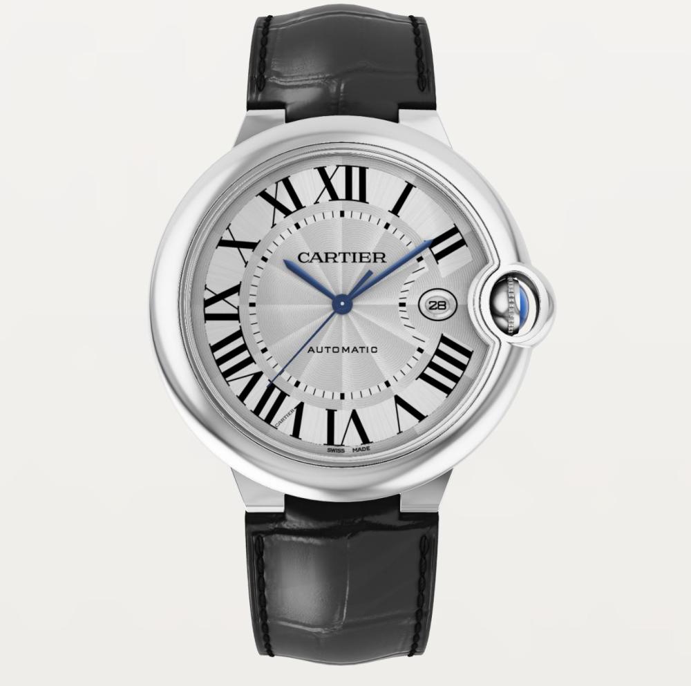 Luxury Brand Watches (3)