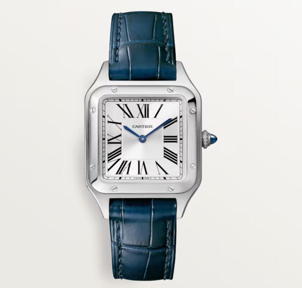 Luxury Brand Watches (3)