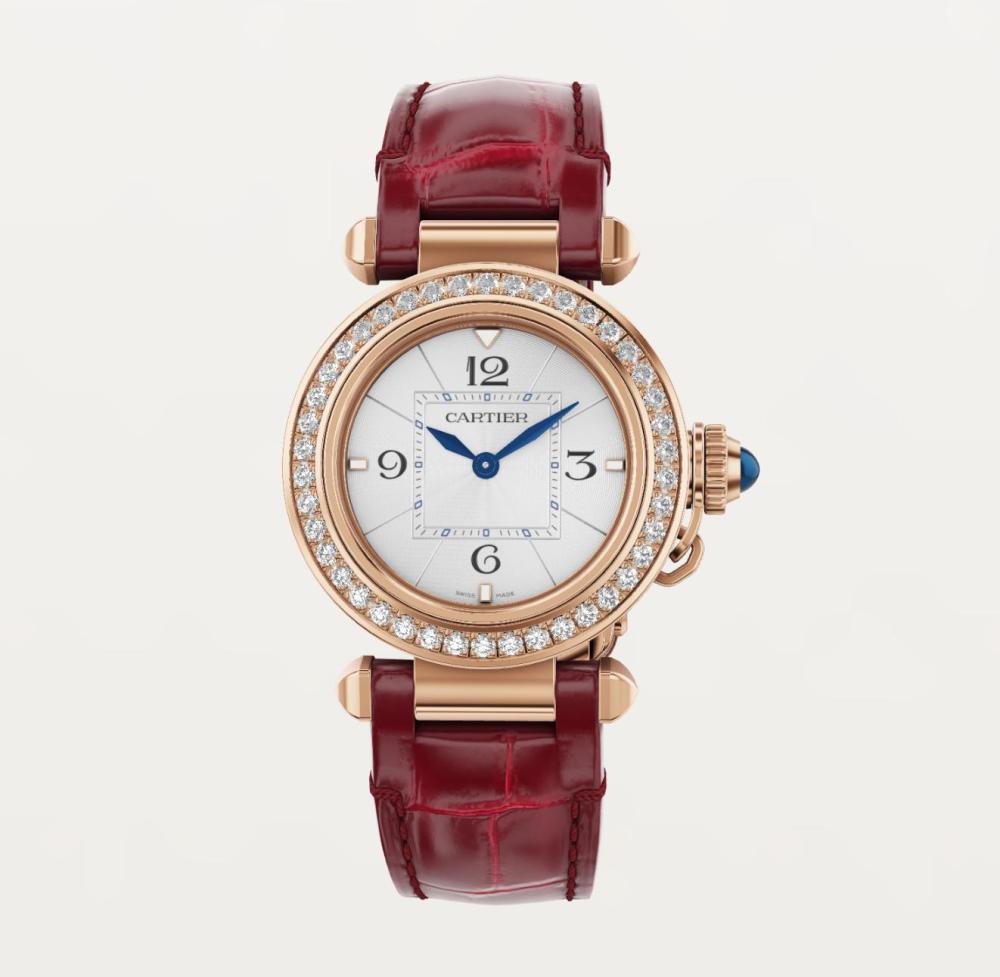 Luxury Brand Watches (3)